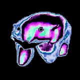 Telegram profile photo for ЕВДОКИМск 🫡