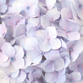Telegram profile photo for Asִsꪮciᥲtiꪮnsִ Аִׁcᥴꫀndiꪮ