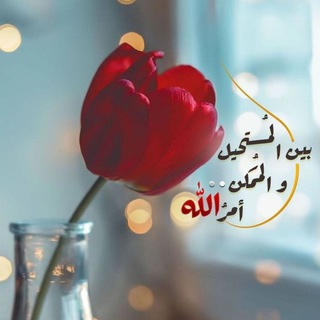 Telegram profile photo for إطمئنان "