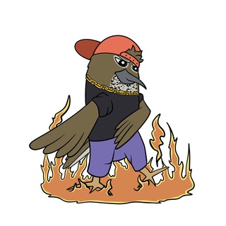 Telegram profile photo for Temi