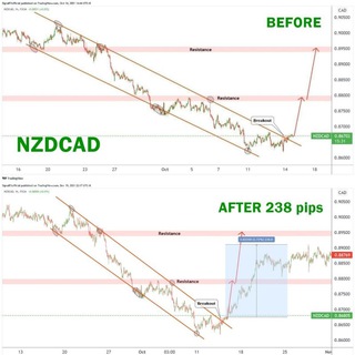 Telegram profile photo for SignalFx ↘️Technical Analysis↙️