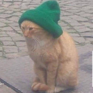 Telegram profile photo for https://t.me/sed pisholl