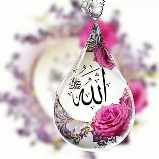 Telegram profile photo for Spread Islam