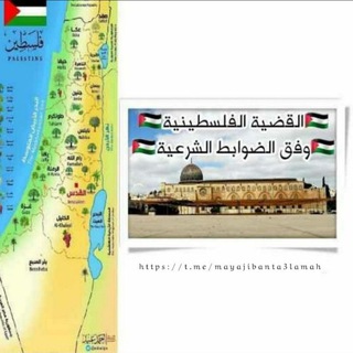 Telegram profile photo for 🇵🇸القضية الفلسطينية وفق الضوابط الشرعية🇵🇸
