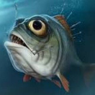 Telegram profile photo for Навязчивая рыбалка