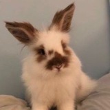 Telegram profile photo for хейт кактусня кф