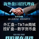 Telegram profile photo for 海外精聊盘-正版MT5 币盘 外汇