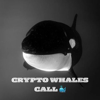 Telegram profile photo for 🐳CRYPTO WHALES CALL 中国🐳