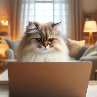 Telegram profile photo for Прогер с лапками