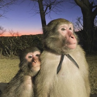 Telegram profile photo for биби и зяни