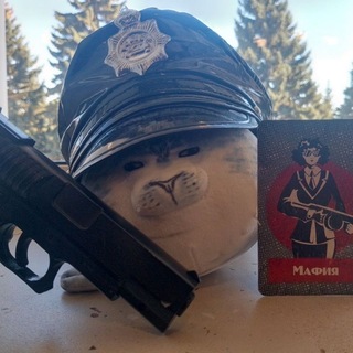 Telegram profile photo for Виталя-Путешественник 🦭