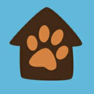 Telegram group profile photo for Передержка домашних животных Верные друзья Дмитров