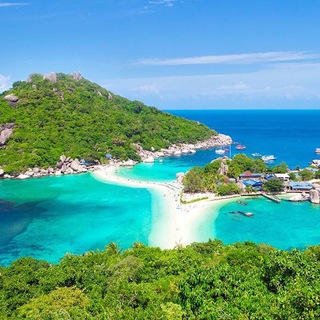 Telegram profile photo for Koh Tao