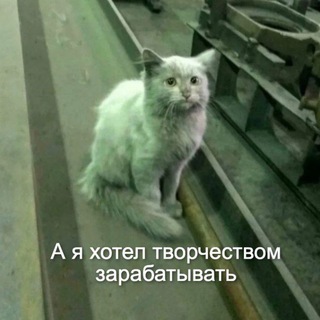 Telegram profile photo for .ru