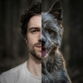 Telegram profile photo for Евгений Брукс