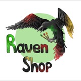 Telegram profile photo for Raven Shop: рэйвен рисует