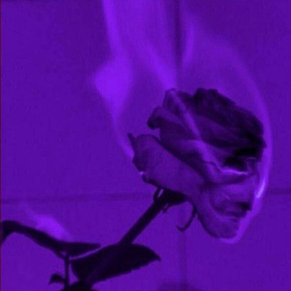 Telegram profile photo for بنفـسـج 💜🌿