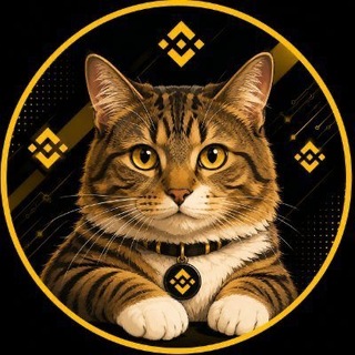 Telegram profile photo for Kopi - The Binance Cat