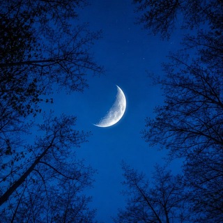 Telegram profile photo for 𝐵𝐿𝑈𝐸 𝑀𝑂𝑂𝑁 🌚💙