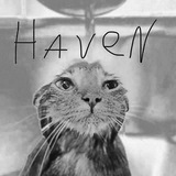 Telegram profile photo for HaveN Info