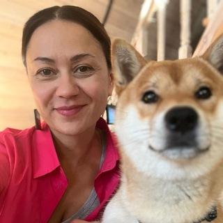 Telegram profile photo for Собачий Английский