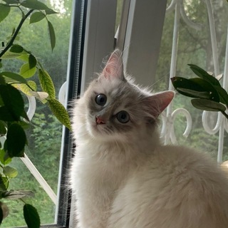 Telegram profile photo for kitablog