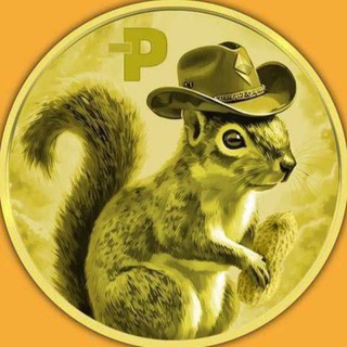 Telegram profile photo for $PNUT CTO on ETH Portal