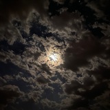 Telegram profile photo for حزه قصايد .