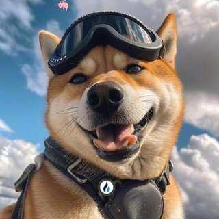 Telegram profile photo for Web3研究院~资讯频道😘