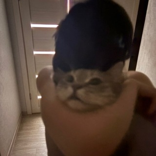 Telegram profile photo for морали нет
