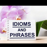 Telegram profile photo for Idioms and Phrases✍