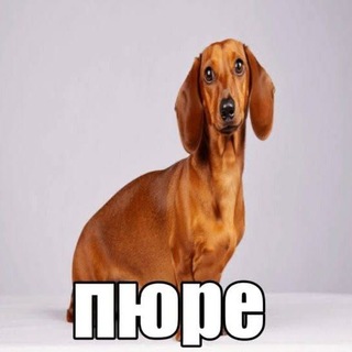 Telegram profile photo for щп плюс боя