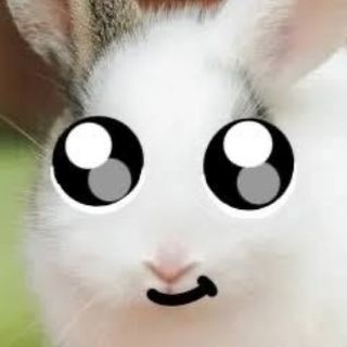 Telegram profile photo for frankie dankie
