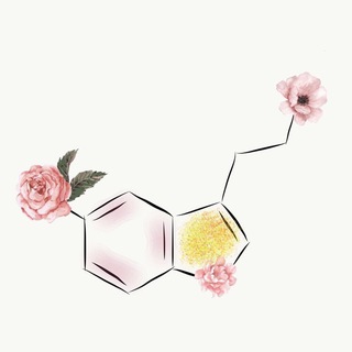 Telegram profile photo for Maria’s notes: nutrition and health