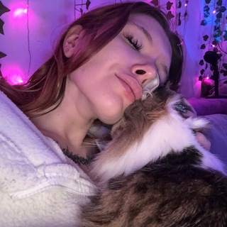 Telegram profile photo for Комната Dark Lorda