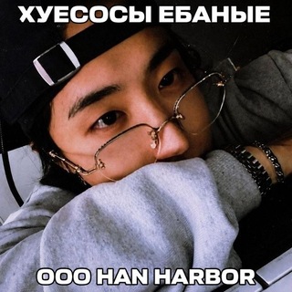 Telegram profile photo for Han Harbor