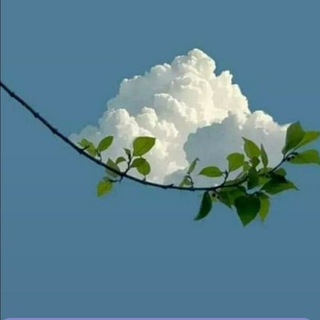 Telegram profile photo for دانستنیهای فرهنگی و هنری