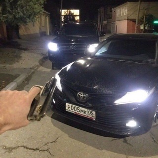 Telegram profile photo for berkut lipetsk 48
