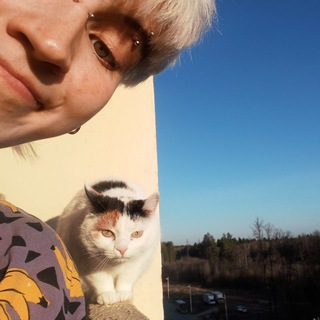 Telegram profile photo for Трахтрахыч.