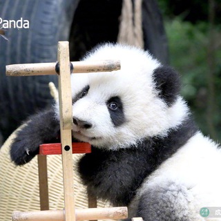 Telegram profile photo for 修仙的日常