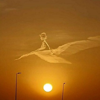 Telegram profile photo for خود سودا