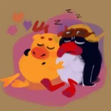 Telegram profile photo for ПинСяши Confession