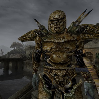 Telegram profile photo for The Elder Scrolls aesthetics