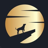 Telegram profile photo for MoonDogecoin Official