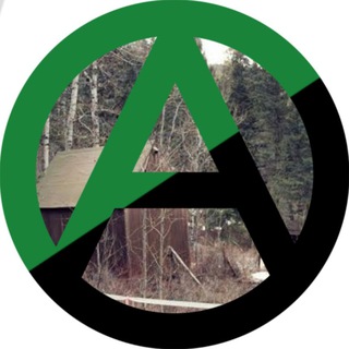 Telegram profile photo for Проект "ПОРА"
