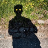Telegram profile photo for لولیوش