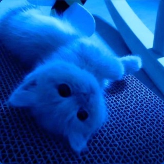Telegram profile photo for фиксик