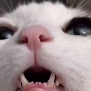 Telegram profile photo for Margomilka