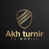 Telegram profile photo for Akh Turnir