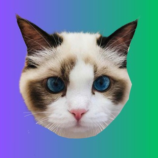 Telegram profile photo for BENJI - Solana - Portal
